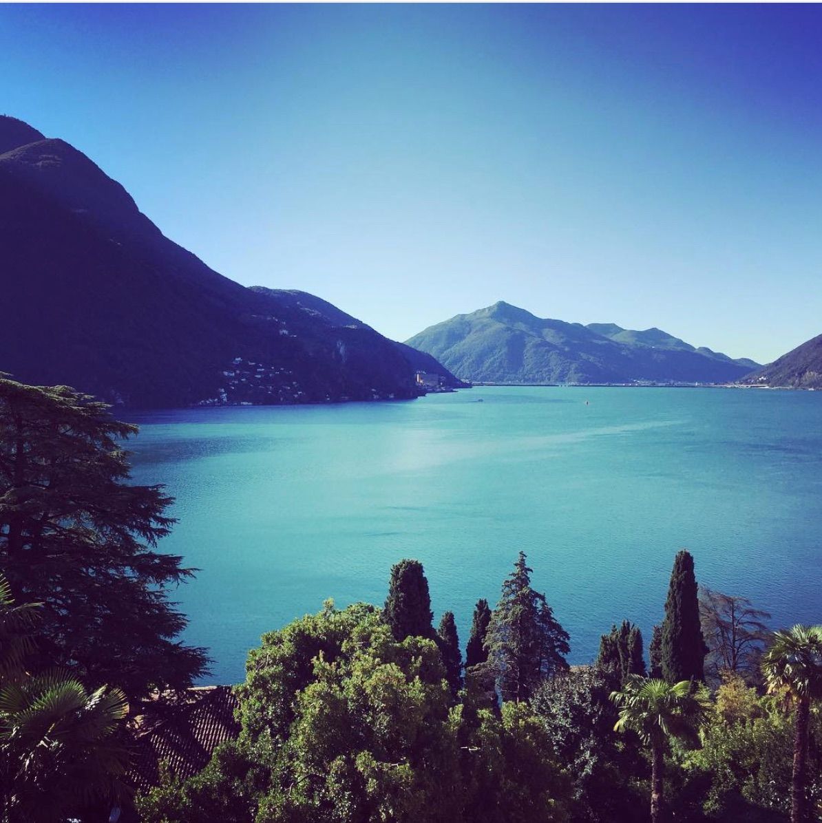 Si conclude oggi il primo Laboratorio annuale di scrittura dinamica e creativa 2020 - 2021