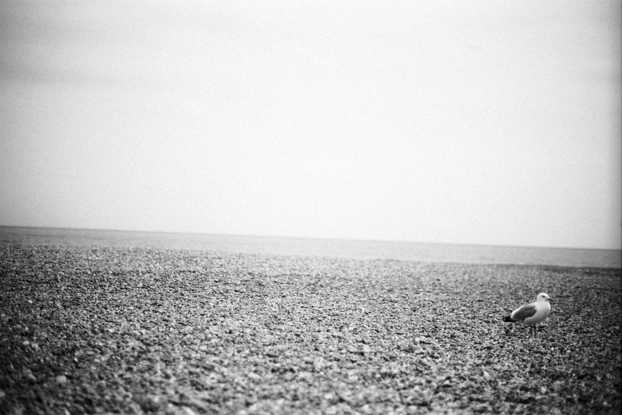 Viaggiando | Buona Domenica, essere cosciente!