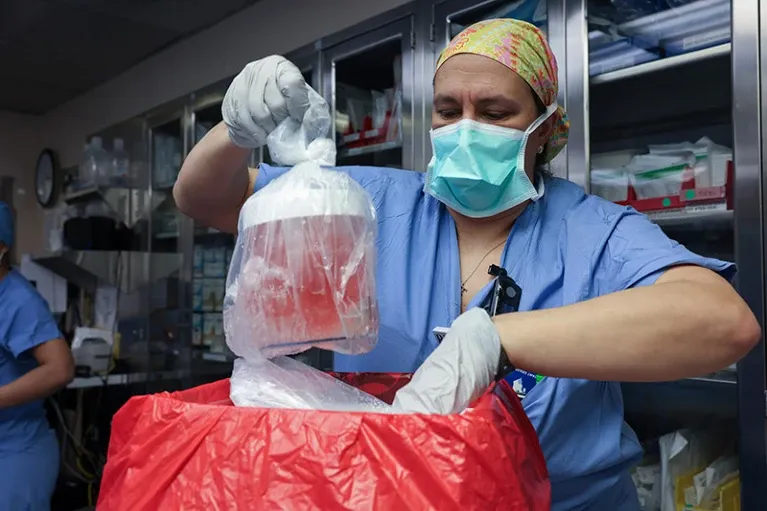 Per la prima volta, un rene di maiale è stato trapiantato in un paziente umano vivente.