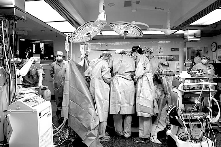 Per la prima volta, un rene di maiale è stato trapiantato in un paziente umano vivente.