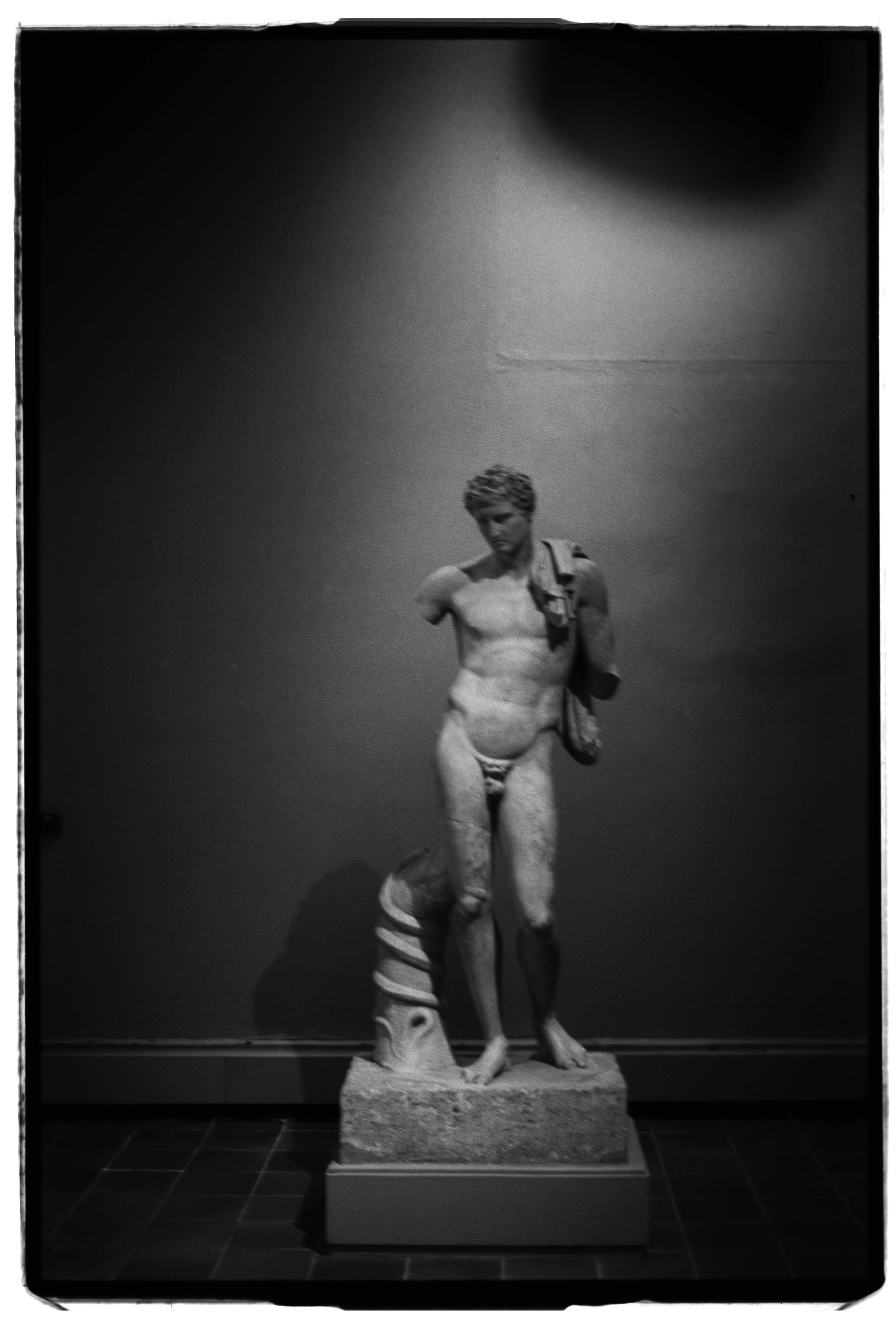 Nuova serie: Pace, Ecologia, Responsabilità