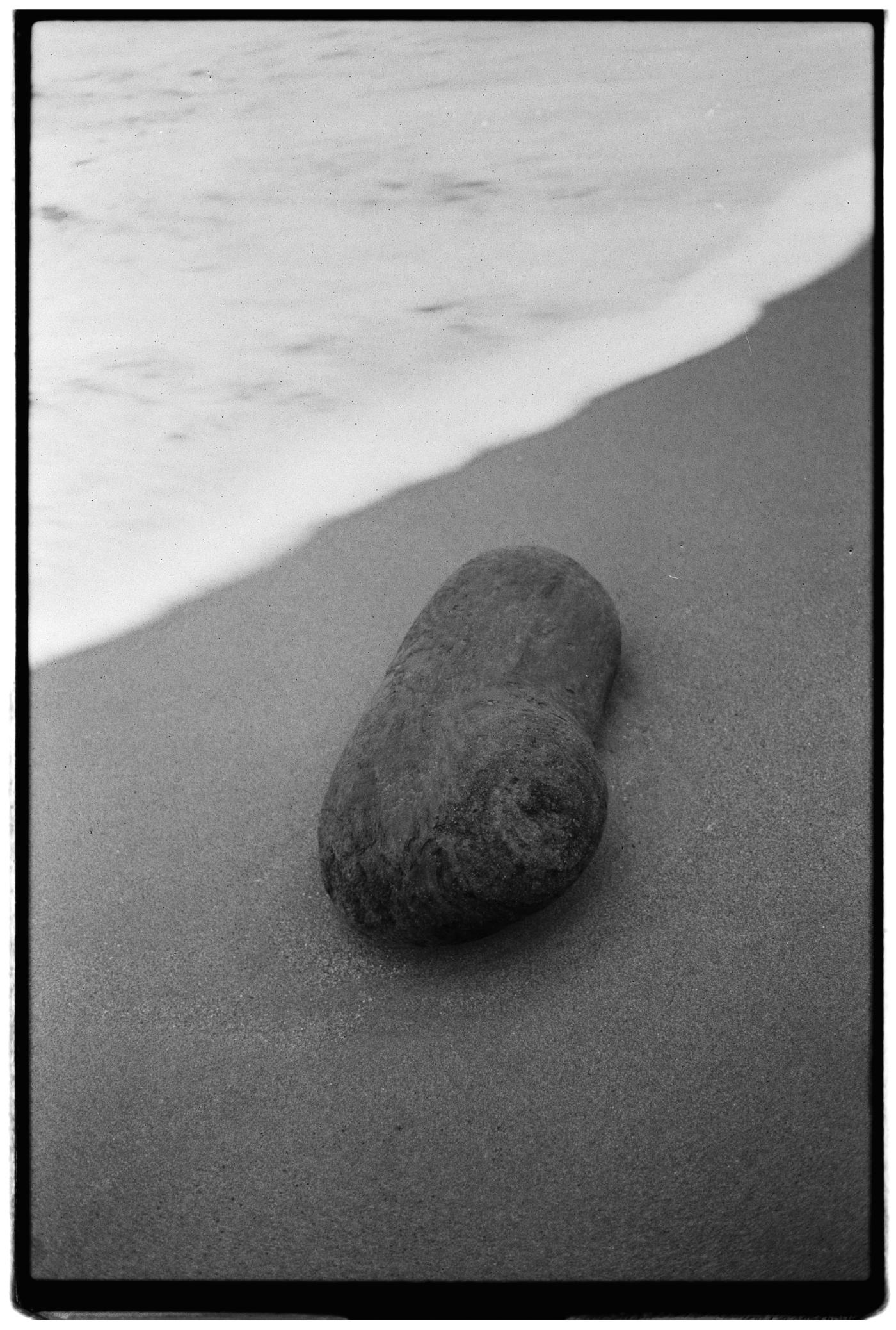 Pace, Ecologia, Responsabilità: Il nuovo blog di Adolfo Santoro