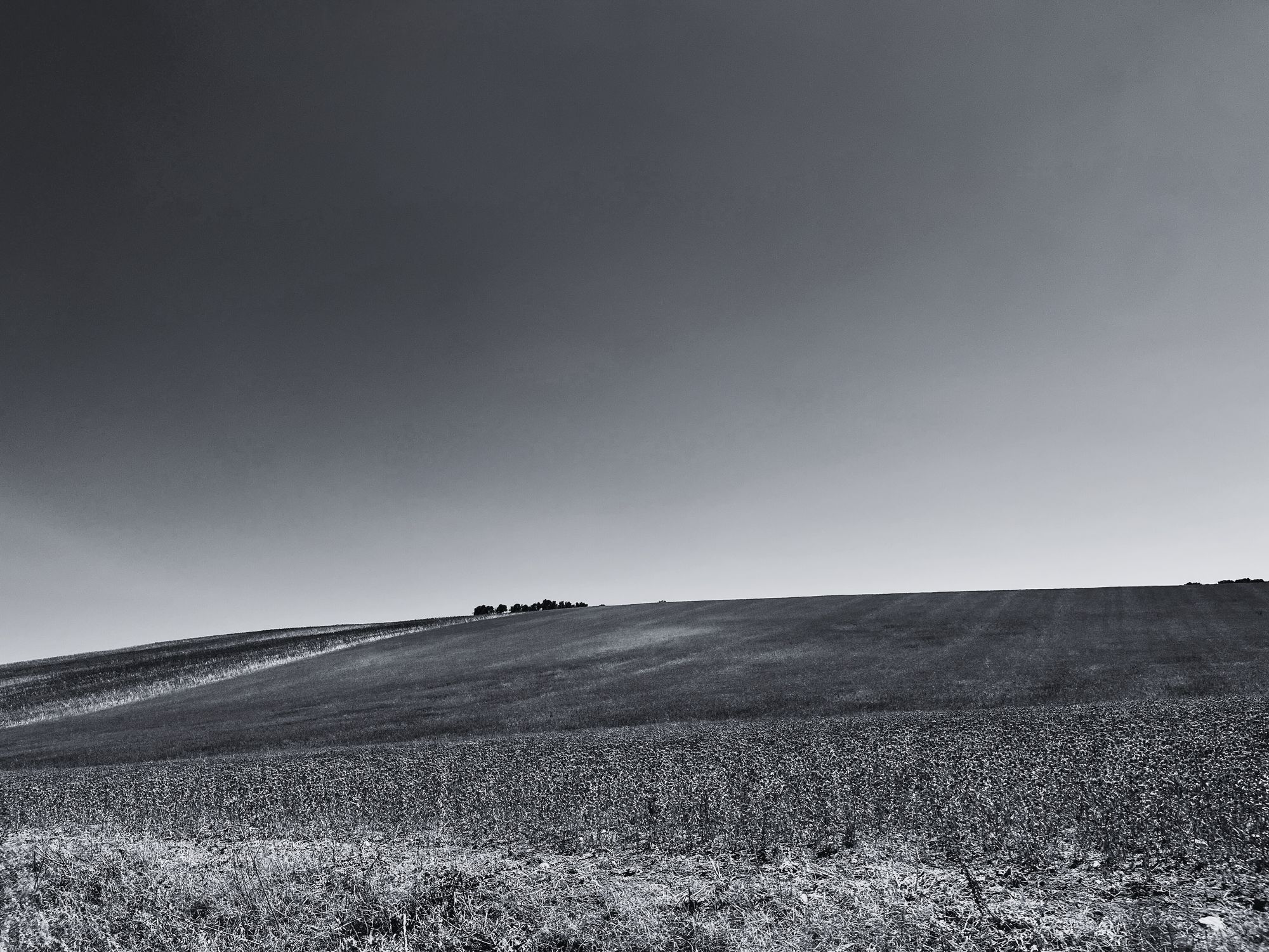 In principio era il Vuoto