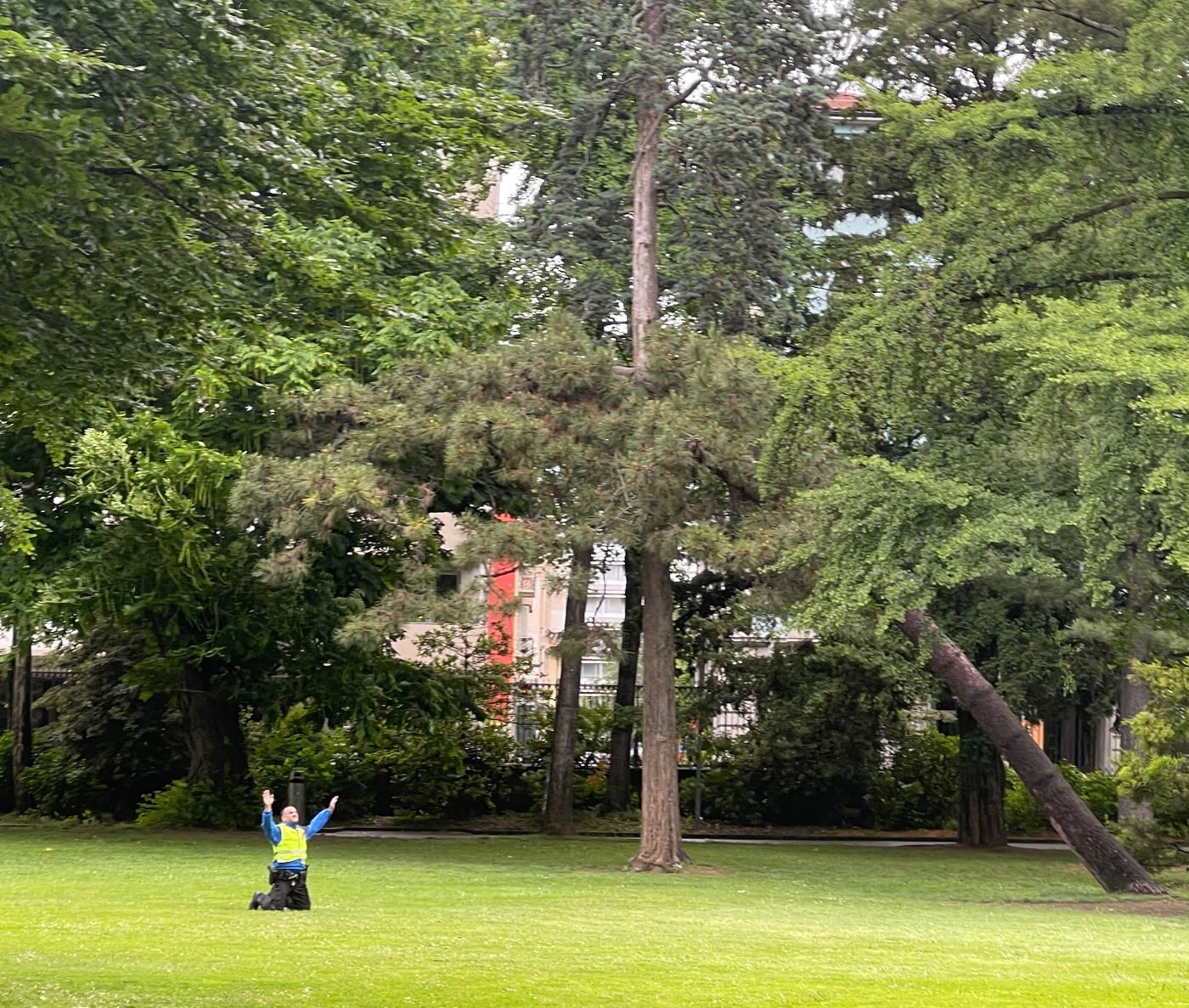 Santo Mammona è apparso davanti ai nostri occhi a Lugano ed è disceso dal Cielo!
