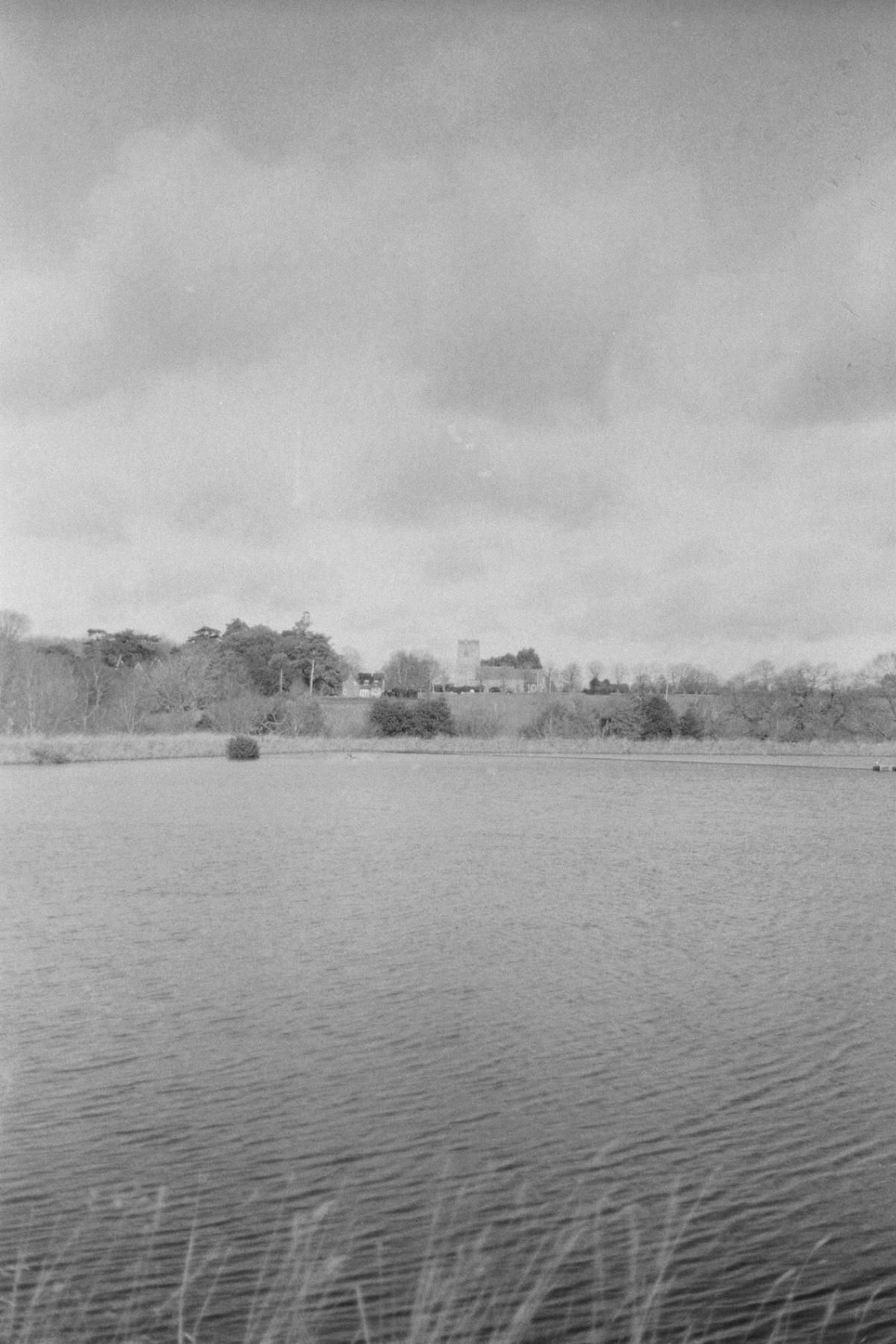 Buona domenica, Domenica!