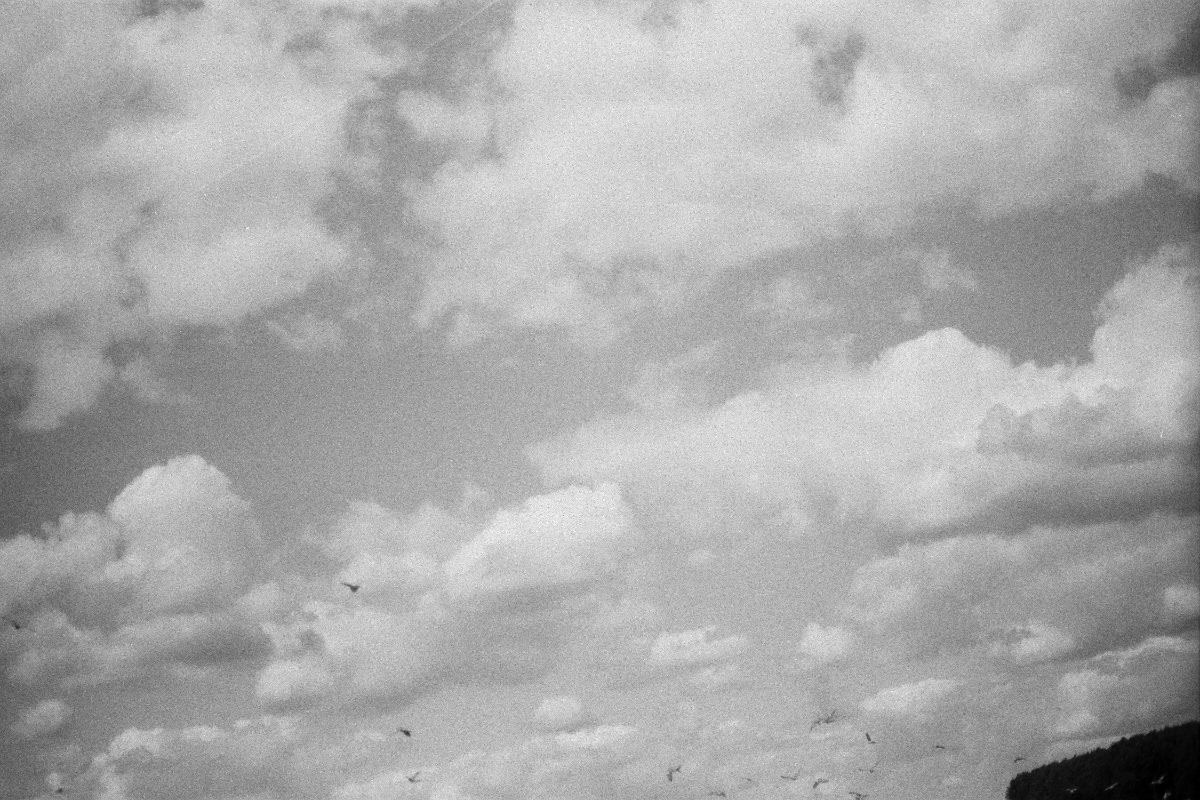 La Vita scorre con te, senza di te